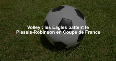 Volley : les Eagles battent le Plessis-Robinson en Coupe de France