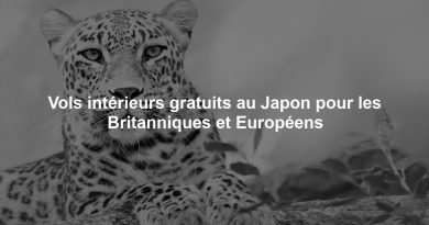 Vols intérieurs gratuits au Japon pour les Britanniques et Européens