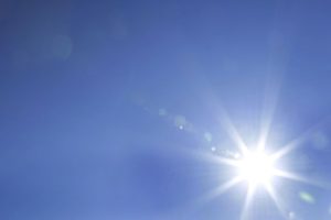 Vitamine D : rôle dans le système immunitaire, la solidité des os et le cancer