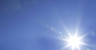 Vitamine D : rôle dans le système immunitaire, la solidité des os et le cancer