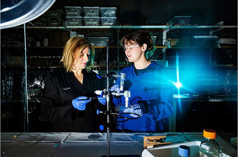 In Katia Zolotovsky’s class, student designers and biologists work together to design biotechnology projects that defy easy categorization. Credit: Alyssa Stone/Northeastern University What if your Tamagotchi was alive and glowing? This toy prototype is full of bacteria