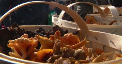 REPLAY. La Foire aux champignons de Saint-Bonnet-le-Froid (Haute-Loire) à revivre