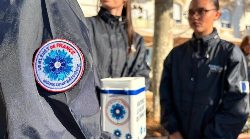 Devoir de mémoire : un programme dans le Var pour transmettre l'esprit d'équipe aux jeunes