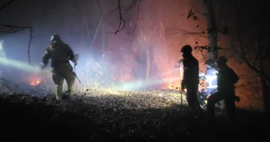 Incendie en Chartreuse : cinq hectares de végétation détruits par un vent chaud et violent