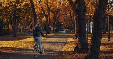 Le vélo : un atout essentiel pour la santé, l'environnement et la société