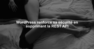 WordPress renforce sa sécurité en supprimant la REST API