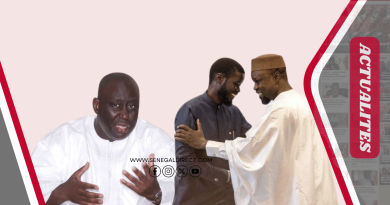 Aliou Sall prédit le retour du duo Diomaye–Sonko dans la politique sénégalaise