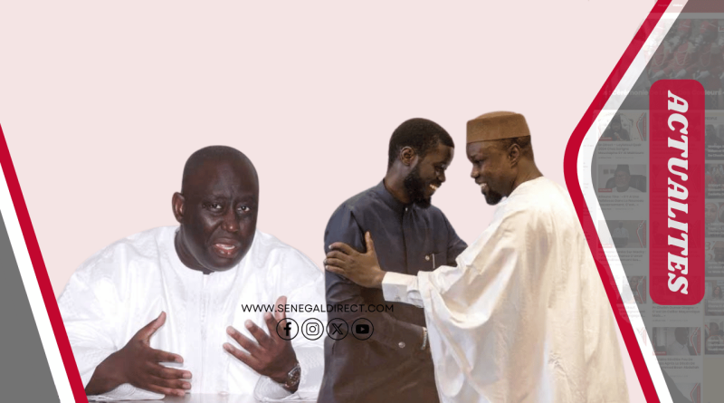 Aliou Sall prédit le retour du duo Diomaye–Sonko dans la politique sénégalaise