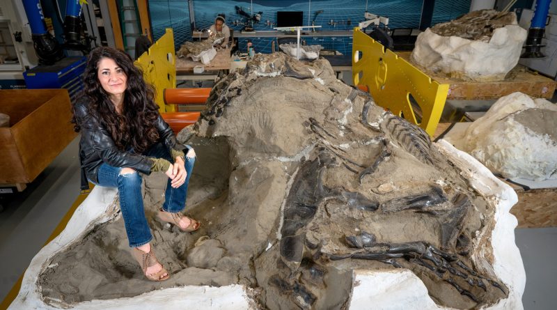 Jeune T. rex ou nouveau dinosaure ? De nouveaux os relancent le débat