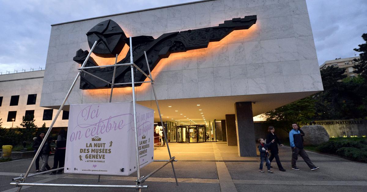 Le Muséum d'histoire naturelle de Genève s'attaque à un insecte nuisible
