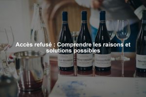 Accès refusé : Comprendre les raisons et solutions possibles