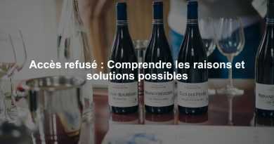Accès refusé : Comprendre les raisons et solutions possibles