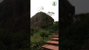 बीजौली किला : Chaque pierre raconte une histoire de bravoure