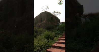 बीजौली किला : Chaque pierre raconte une histoire de bravoure