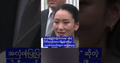 ဖွေထိုင်းပါတီ၊ ဝန်ကြီးချုပ်လောင်း မရွေးတော့ဟု အတည်ပြု