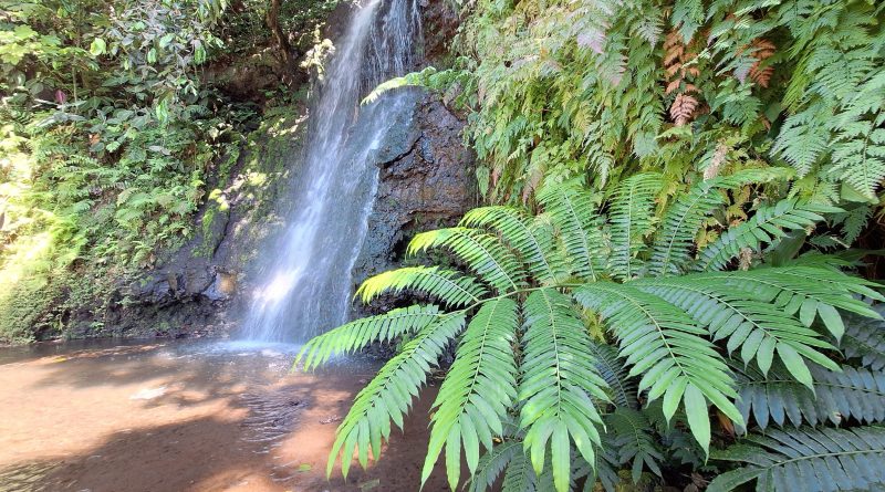 Rendez-vous côté mer pour prolonger les bienfaits de la visite des jardins d’eau de Vaipahi (Crédit : Anne-Charlotte Lehartel).