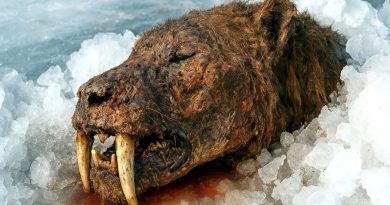 10 espèces disparues que les scientifiques espèrent ressusciter