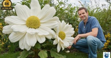 10 expériences étonnantes de jardinage zéro déchet !