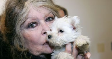 Mort de Brigitte Bardot : la fondation BB était intervenue pour sauver un sanglier à Challes