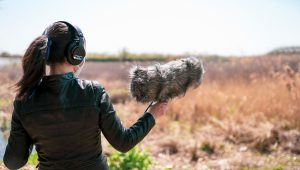 Découverte des chants de la Terre : une exploration sonore fascinante