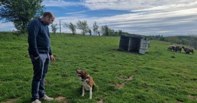 Si j'osais : la politique politichienne - ICI