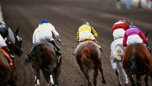 Quinté à Deauville du mardi 30 décembre : les pronostics hippiques d'Hervé Fortin - ICI