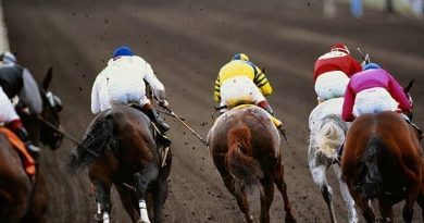 Quinté à Deauville du mardi 30 décembre : les pronostics hippiques d'Hervé Fortin - ICI