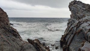 Que font les animaux marins durant les tempêtes ? - ICI