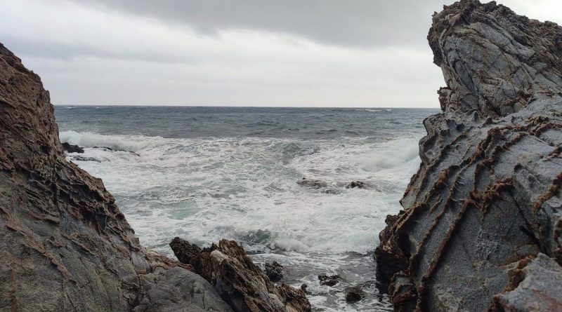 Que font les animaux marins durant les tempêtes ? - ICI