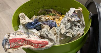 Comment mettre en route le lombricomposteur qu'on vous a offert à Noël ? - ICI