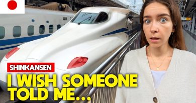 13 conseils essentiels pour voyager en Shinkansen au Japon