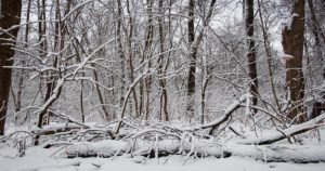 L'hiver météorologique commence le 1er décembre : caractéristiques de la saison en France