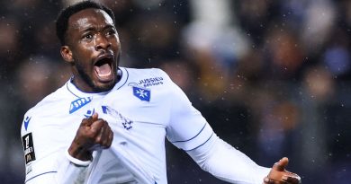 illustration agrandir l