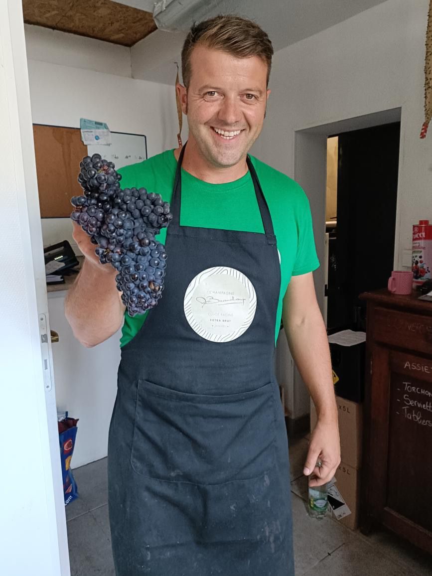 illustration agrandir l'image