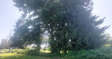 Lannemezan : Controverse sur la construction d'une serre photovoltaïque