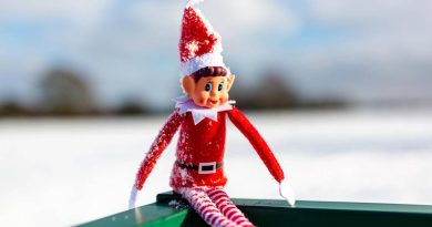 D'où viennent les lutins farceurs qui envahissent foyers, magasins et écoles ?