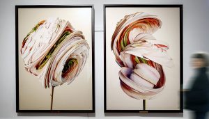 Flore des exoplanètes : l'herbier astrobotanique de Vincent Fournier dévoilé