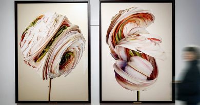 Flore des exoplanètes : l'herbier astrobotanique de Vincent Fournier dévoilé