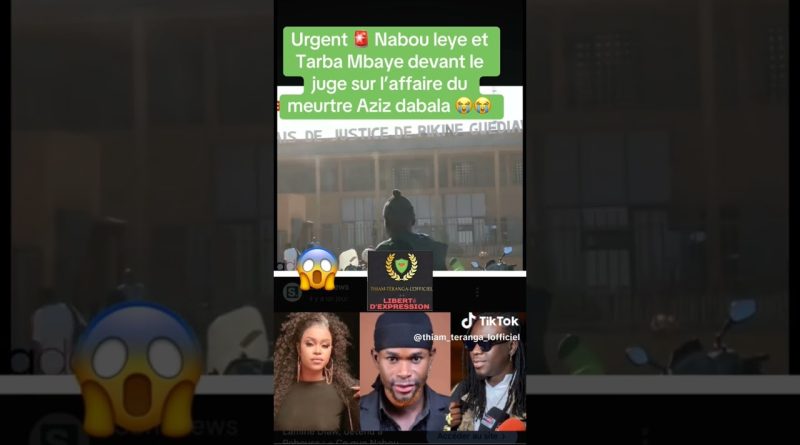 Top TikToks 2025 : Les incontournables à ne pas manquer !