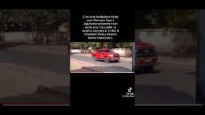 Top TikToks 2025 : Les incontournables à ne pas rater !