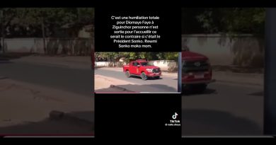 Top TikToks 2025 : Les incontournables à ne pas rater !