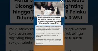 6 Agresseurs de PMI en Malaisie arrêtés : violences extrêmes