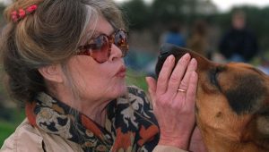 illustration agrandir l