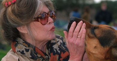 illustration agrandir l