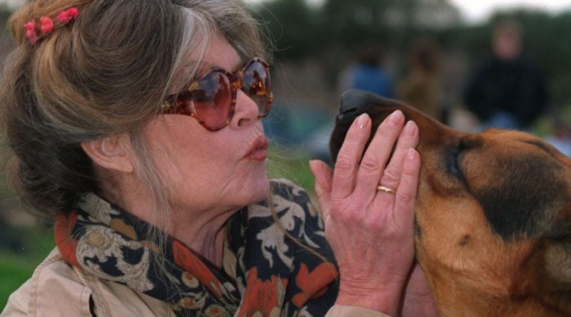 illustration agrandir l