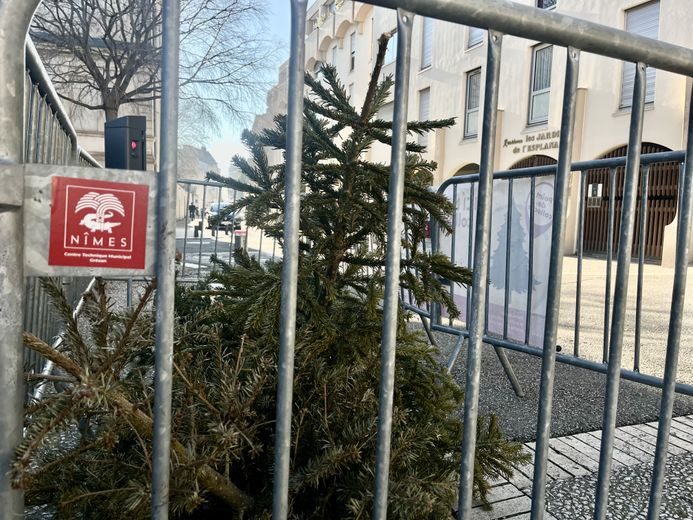 Pas moins de 96 parcs à sapins sont répartis à Nîmes et dans 26 communes partenaires.
