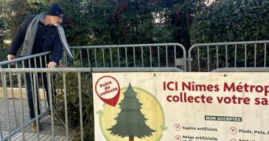 Où jeter son sapin après les fêtes ? 96 points de collecte à Nîmes Métropole