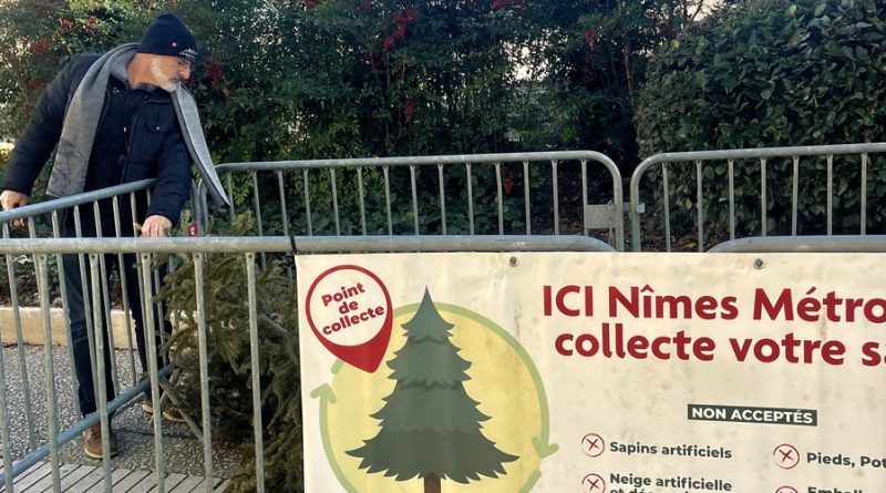 Où jeter son sapin après les fêtes ? 96 points de collecte à Nîmes Métropole