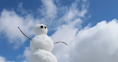 Vague de froid en début d’année : ce que révèle notre perception du dérèglement climatique