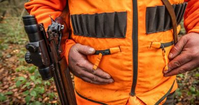 illustration agrandir l